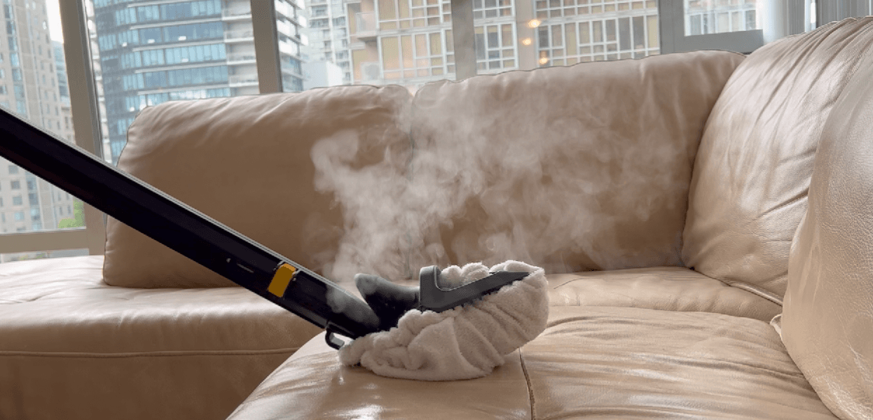Sofa Cleaning